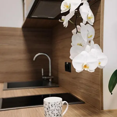 Vibrant Studios, - Sk Apartment Riga