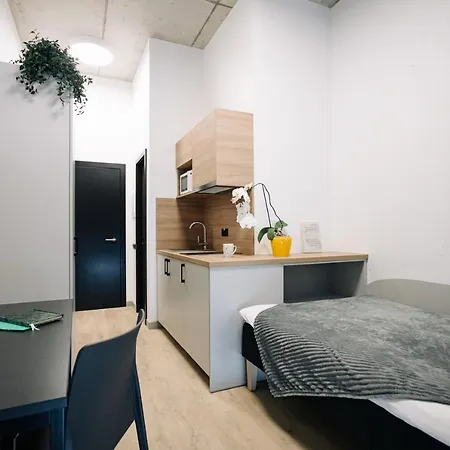 Vibrant Studios, - Sk